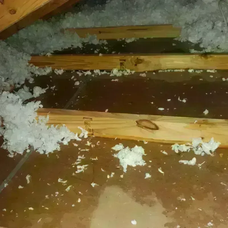 Attic Water Damage in South Weber, UT