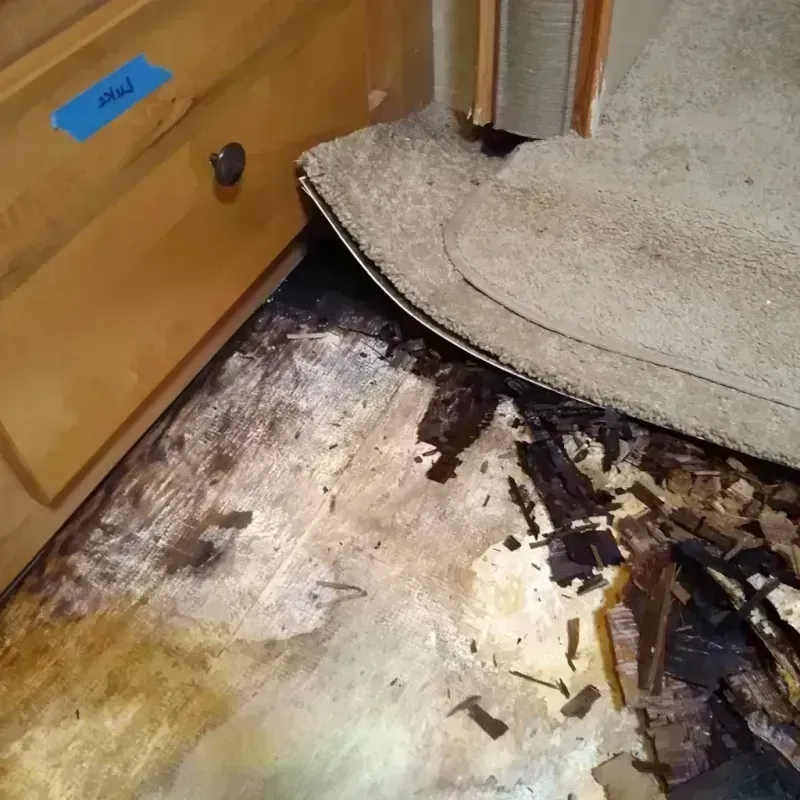 Wood Floor Water Damage in South Weber, UT